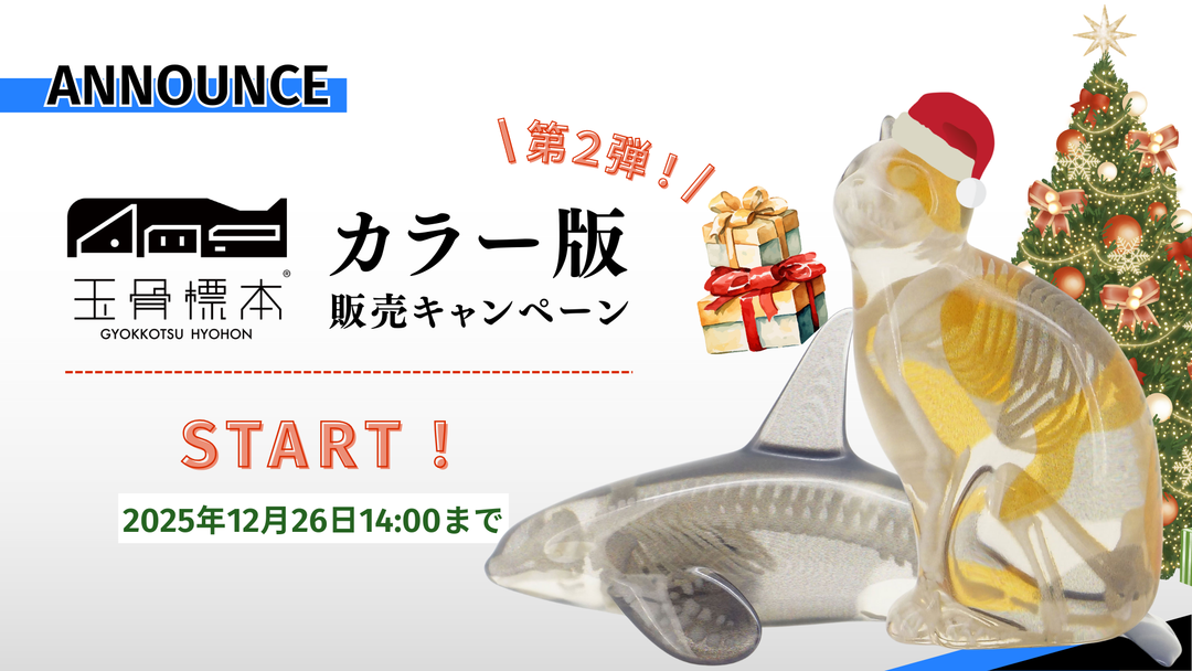 玉骨標本カラー版販売キャンペーン第２弾　スタート！