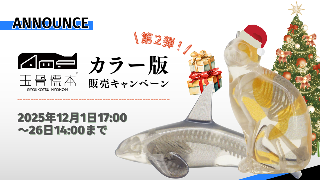 玉骨標本カラー版期間限定販売キャンペーン　第2弾　告知ブログ　アイキャッチ