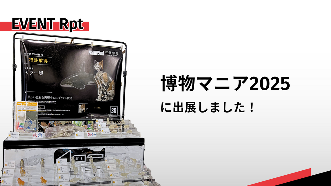 【イベントレポート】博物マニア2025に出展しました！