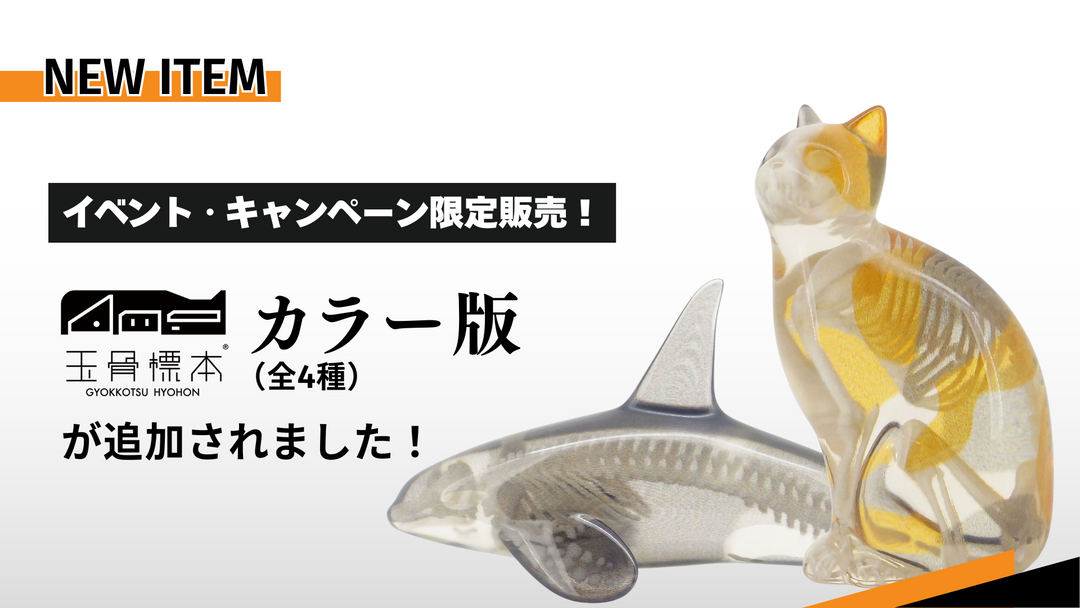 【商品追加】待望の「玉骨標本カラー版」を追加しました！