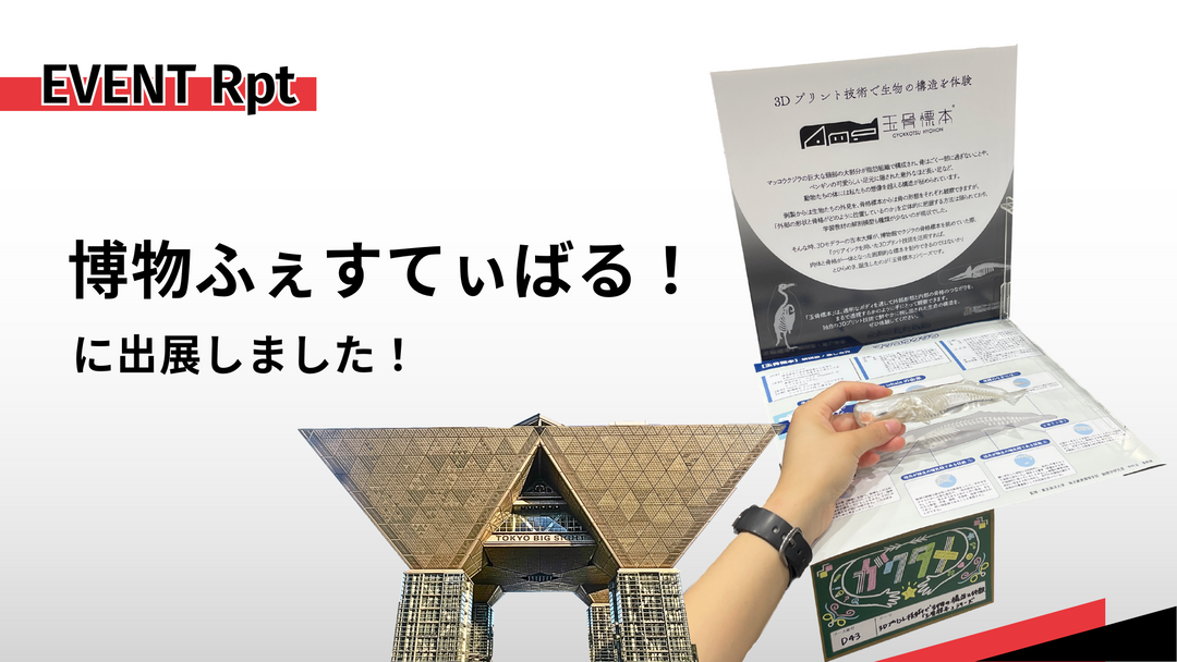 博物ふぇすてぃばる！2025出展レポ