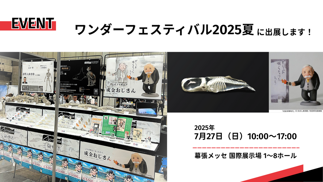 ワンダーフェスティバル2025夏 出展記事アイキャッチ