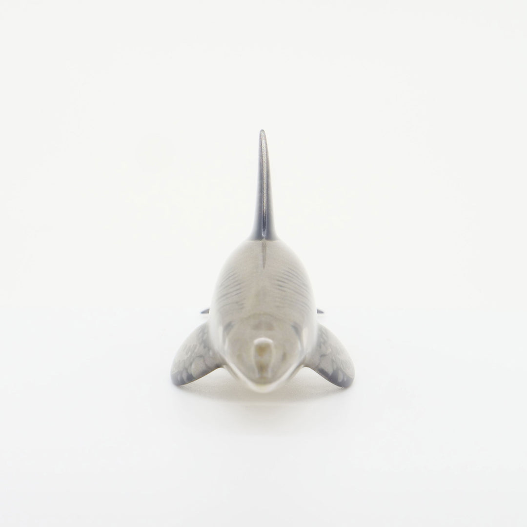 玉骨標本　カラー版　シャチ　Sサイズ　半完成品(研磨なし)