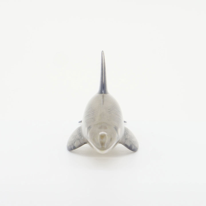 玉骨標本　カラー版　シャチ　Sサイズ　半完成品(研磨なし)