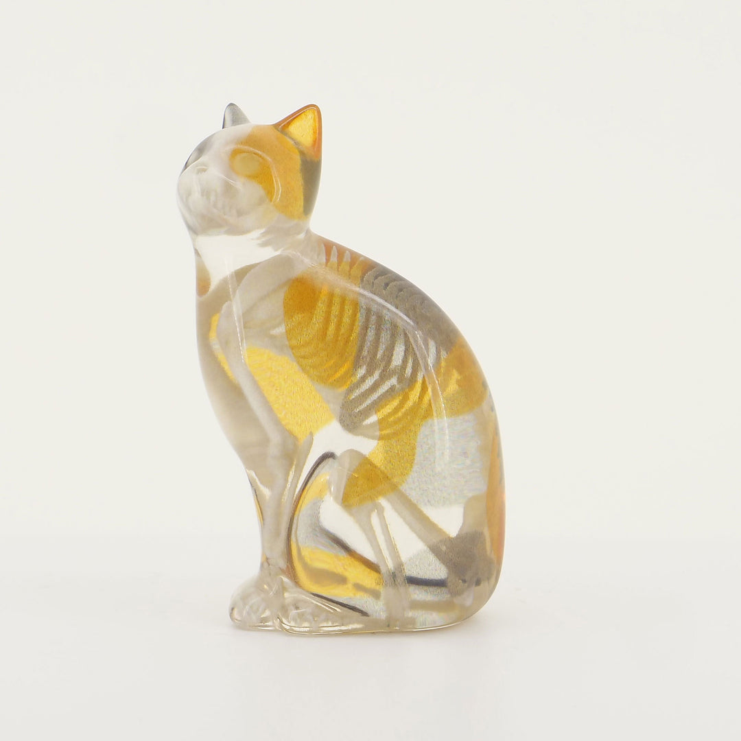 玉骨標本　カラー版　イエネコ　Sサイズ　半完成品(研磨なし)