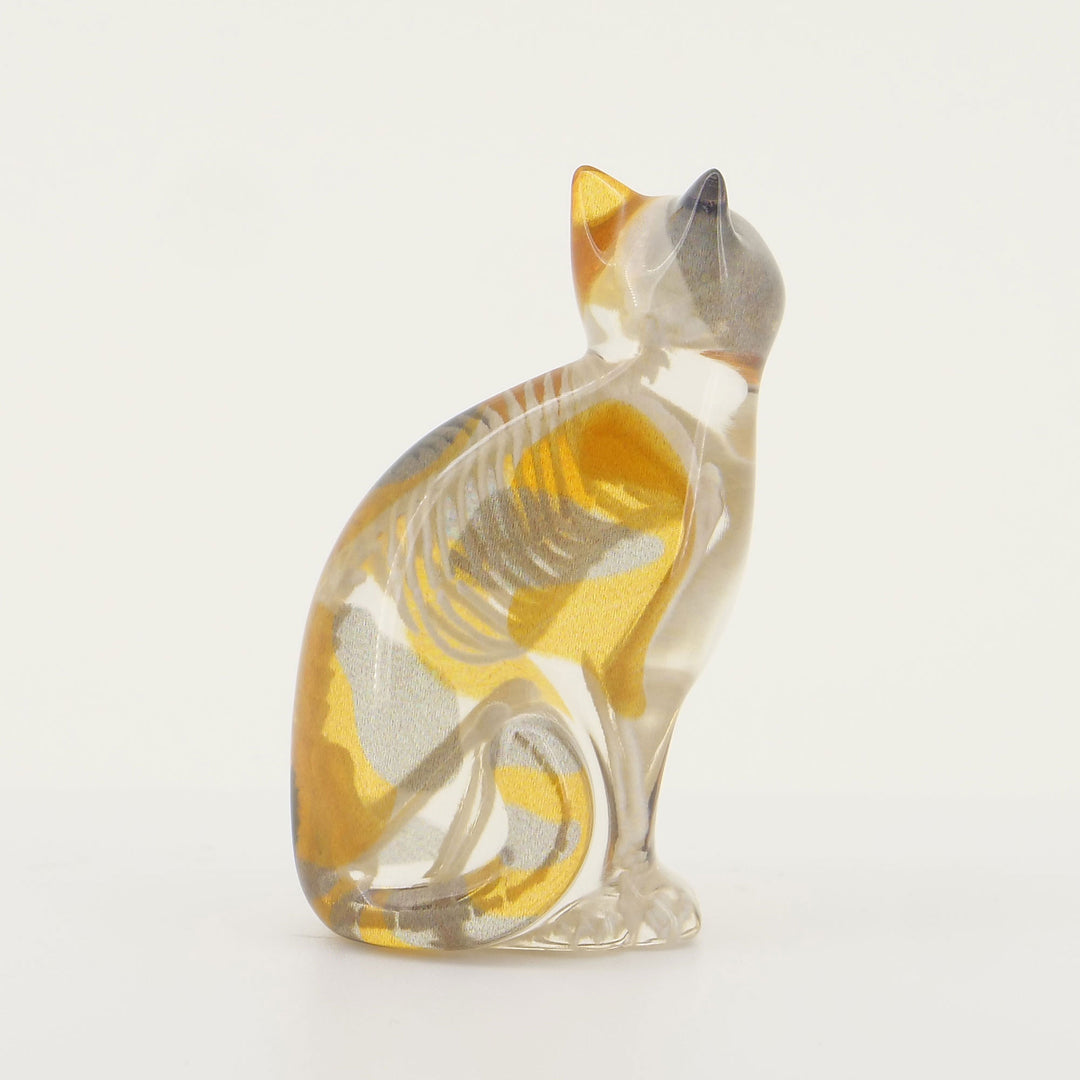 玉骨標本　カラー版　イエネコ　Sサイズ　半完成品(研磨なし)