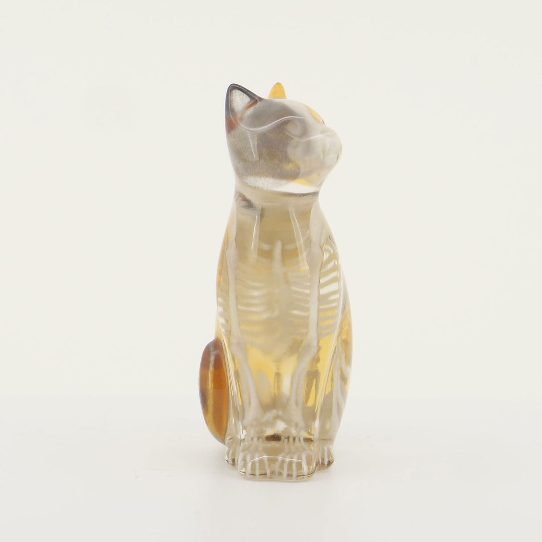 玉骨標本　カラー版　イエネコ　Sサイズ　半完成品(研磨なし)