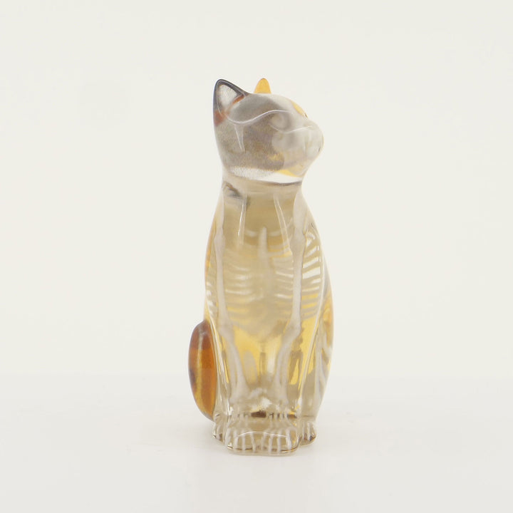 玉骨標本　カラー版　イエネコ　Sサイズ　半完成品(研磨なし)