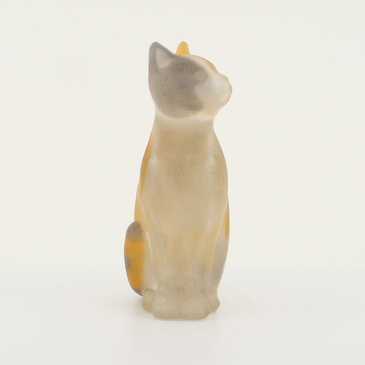 玉骨標本　カラー版　イエネコ　Sサイズ　半完成品(研磨なし)