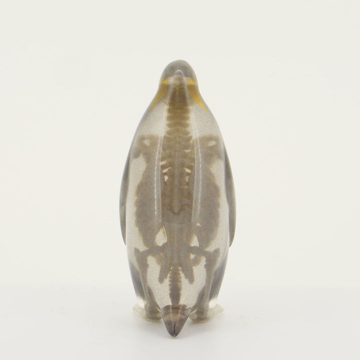 玉骨標本　カラー版　コウテイペンギン　Sサイズ　半完成品(研磨なし)