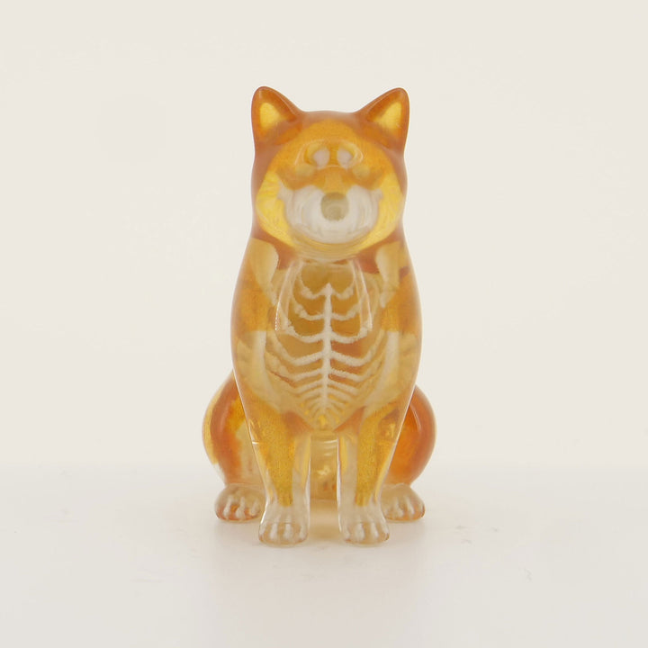 玉骨標本　カラー版　シバイヌ　Sサイズ　半完成品(研磨なし)