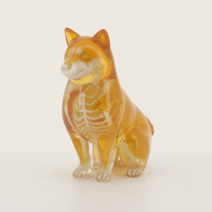 玉骨標本　カラー版　シバイヌ　Sサイズ　半完成品(研磨なし)