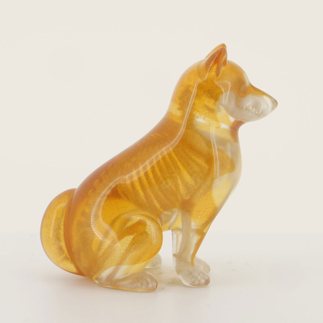 玉骨標本　カラー版　シバイヌ　Sサイズ　半完成品(研磨なし)