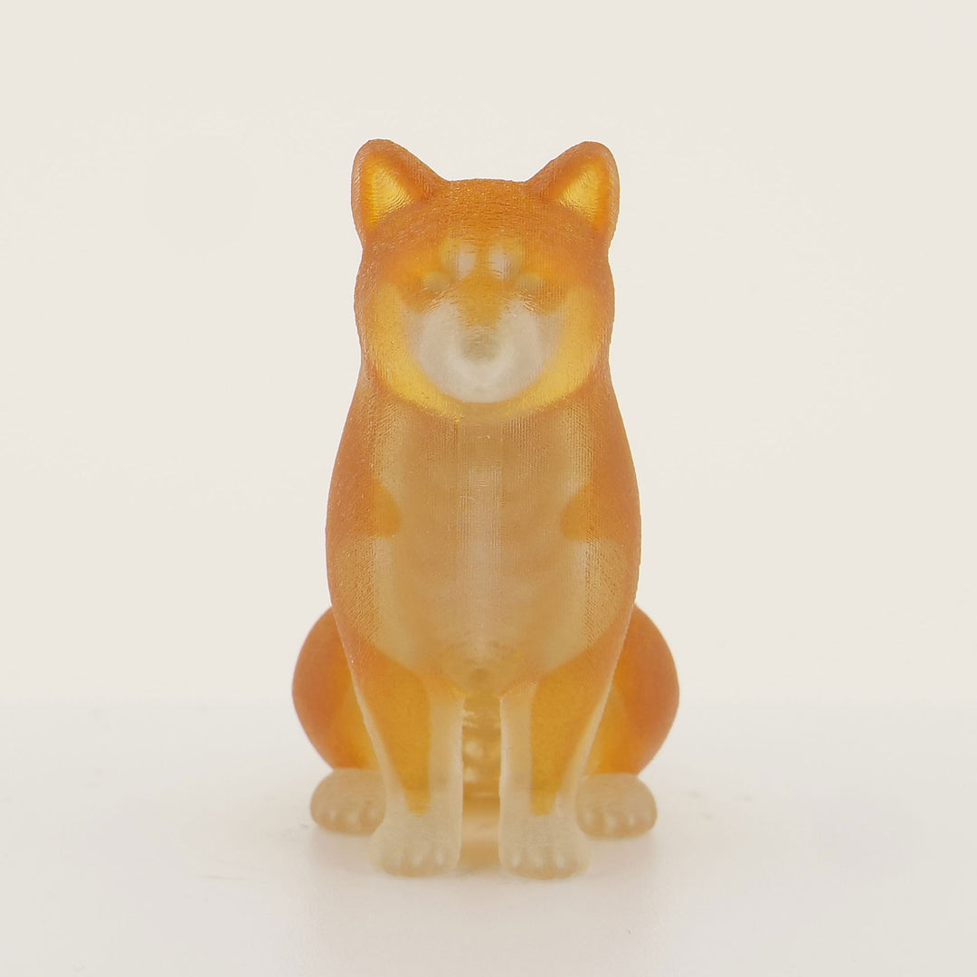 玉骨標本　カラー版　シバイヌ　Sサイズ　半完成品(研磨なし)