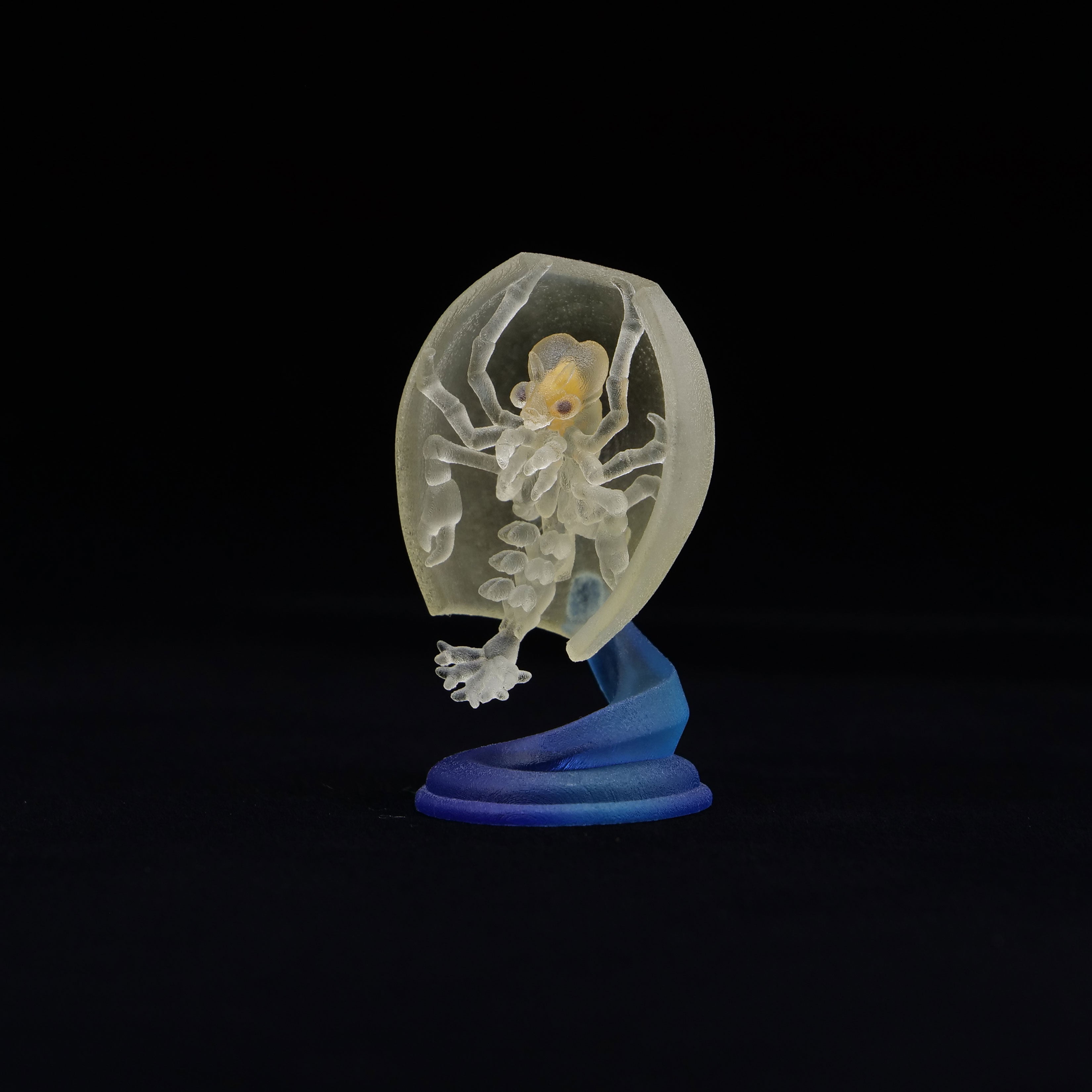 ブルーハンター Amazon.com: Lowrance 000-13313-001 7 Pin Blue To 9 Pin