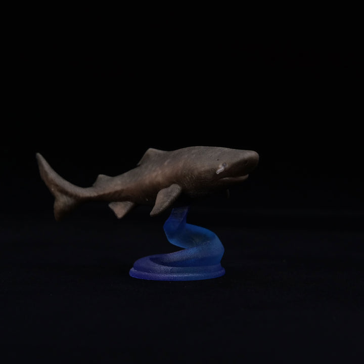 深海生物シリーズ　ニシオンデンザメ