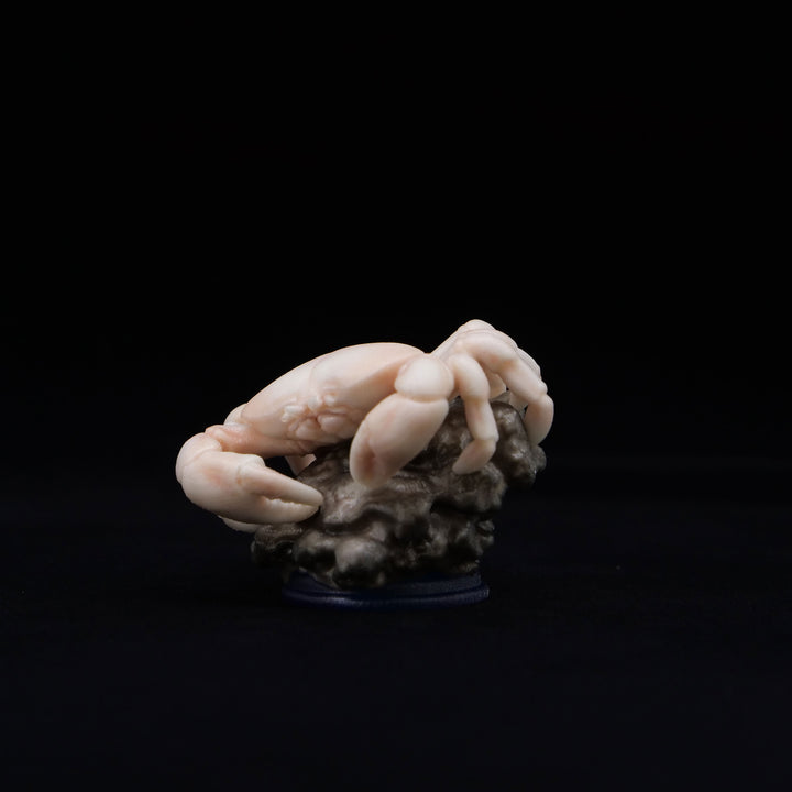 深海生物シリーズ　ユノハナガニ