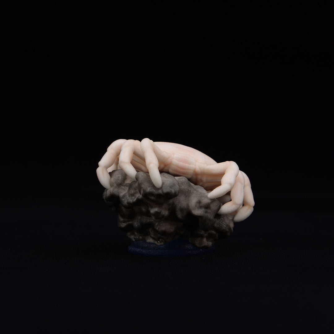 深海生物シリーズ　ユノハナガニ