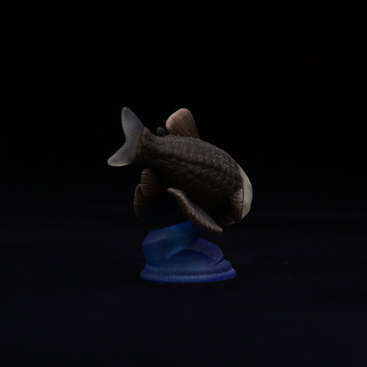 深海生物シリーズ　デメニギス
