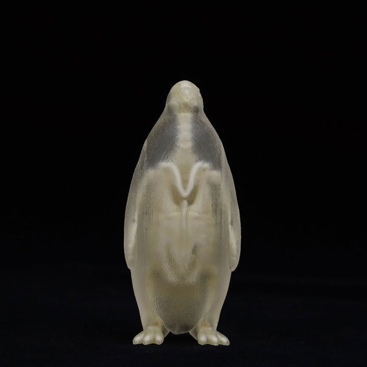 玉骨標本　コウテイペンギン　Sサイズ　半完成品(研磨なし)
