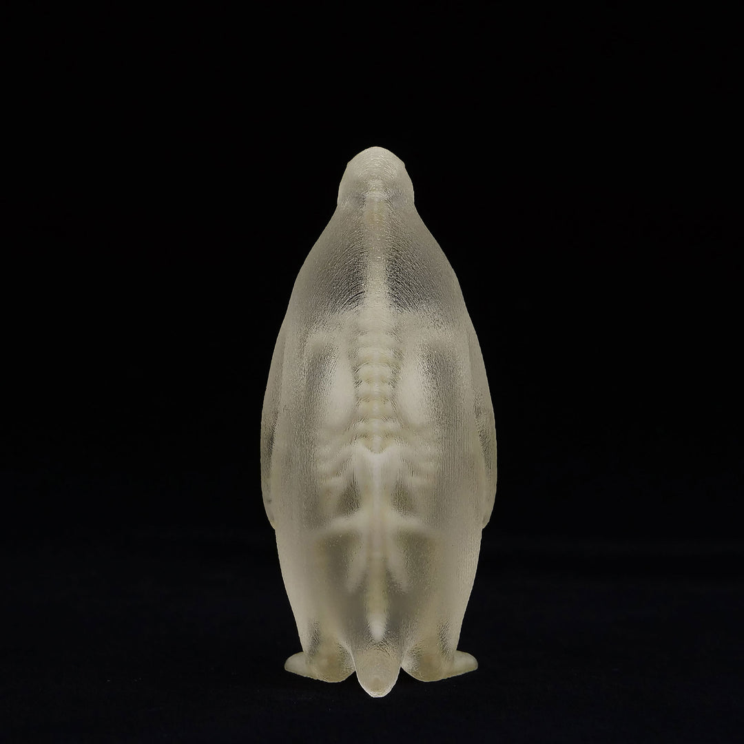 玉骨標本　コウテイペンギン　Sサイズ　半完成品(研磨なし)