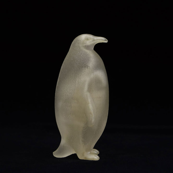 玉骨標本　コウテイペンギン　Sサイズ　半完成品(研磨なし)