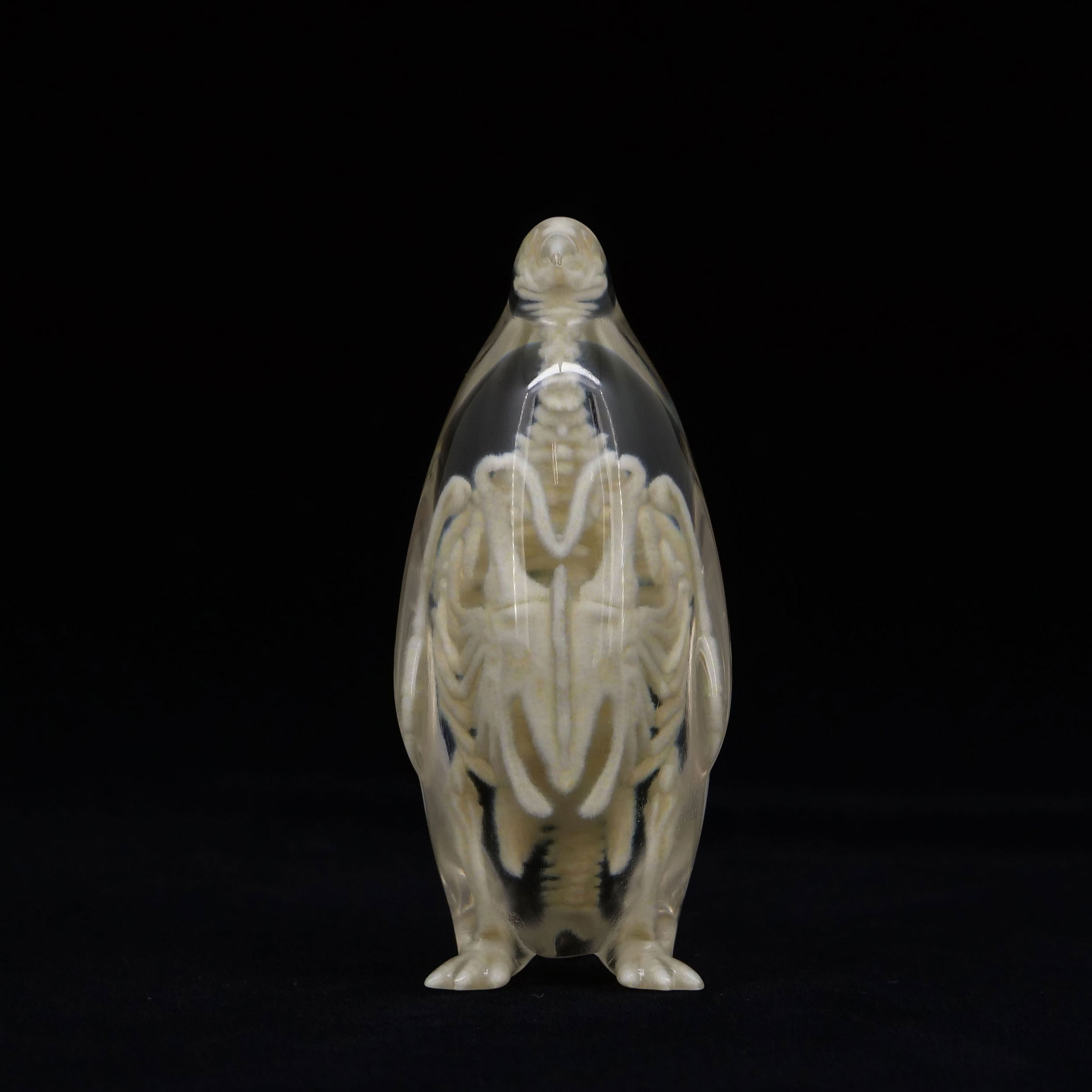 玉骨標本 コウテイペンギン Sサイズ 半完成品(研磨なし) – 合同