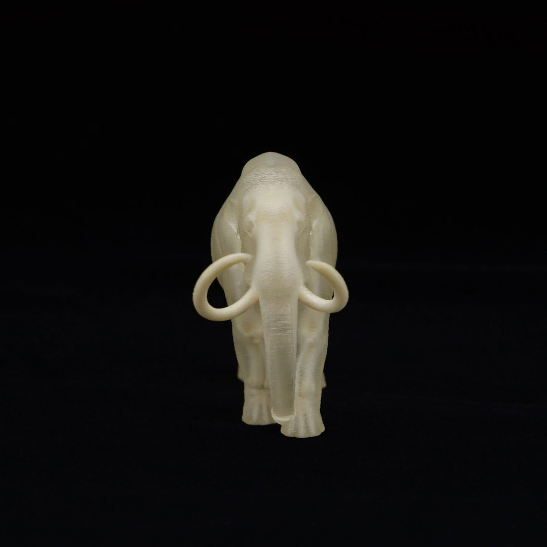 玉骨標本　ケナガマンモス　Sサイズ　半完成品(研磨なし)