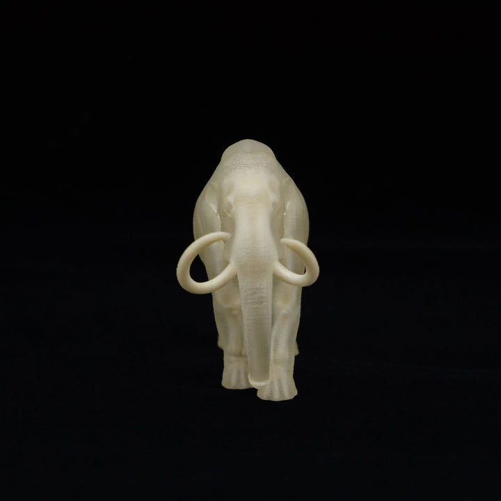 玉骨標本　ケナガマンモス　Sサイズ　半完成品(研磨なし)