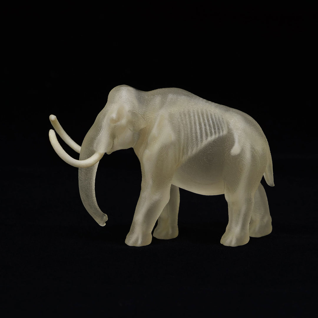 玉骨標本　ケナガマンモス　Sサイズ　半完成品(研磨なし)