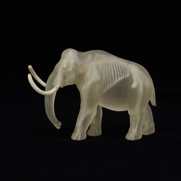 玉骨標本　ケナガマンモス　Sサイズ　半完成品(研磨なし)