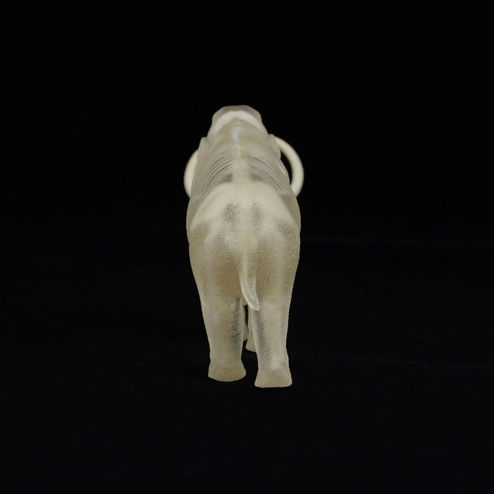 玉骨標本　ケナガマンモス　Sサイズ　半完成品(研磨なし)