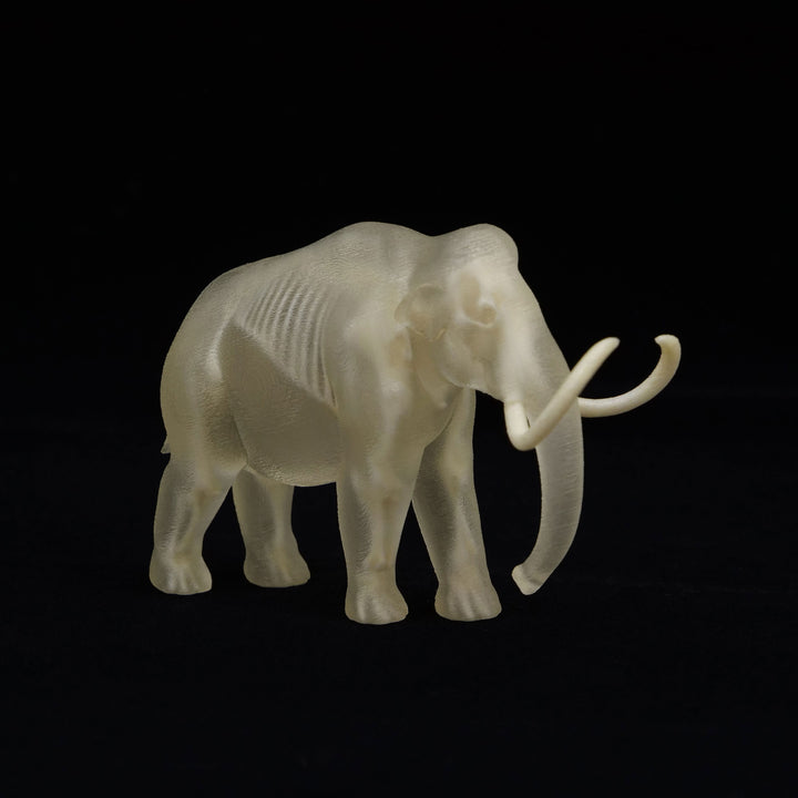 玉骨標本　ケナガマンモス　Sサイズ　半完成品(研磨なし)