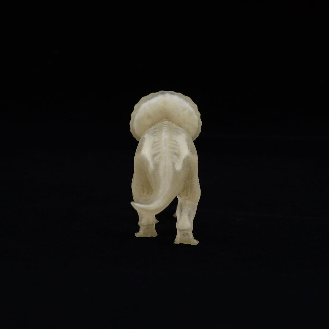 玉骨標本　トリケラトプス　Sサイズ　半完成品(研磨なし)