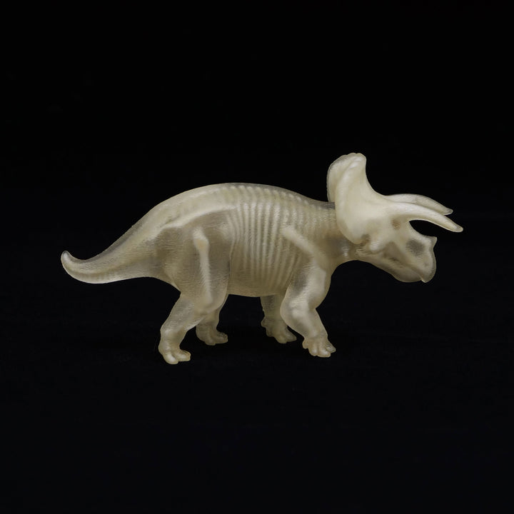 玉骨標本　トリケラトプス　Sサイズ　半完成品(研磨なし)