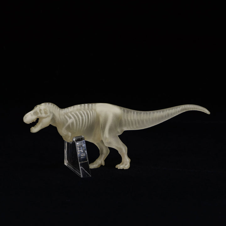 玉骨標本　ティラノサウルス　Sサイズ　半完成品(研磨なし)