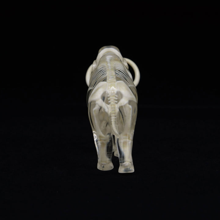 玉骨標本　ケナガマンモス　Sサイズ　半完成品(研磨なし)