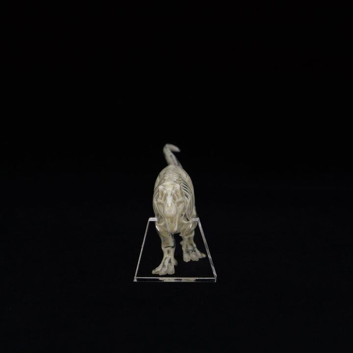 玉骨標本　ティラノサウルス　Sサイズ　半完成品(研磨なし)