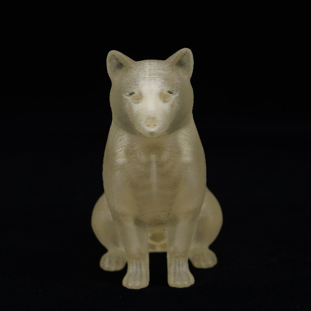 玉骨標本　シバイヌ　Sサイズ　半完成品(研磨なし)
