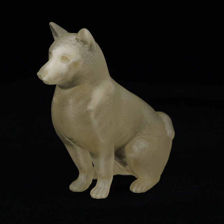玉骨標本　シバイヌ　Sサイズ　半完成品(研磨なし)