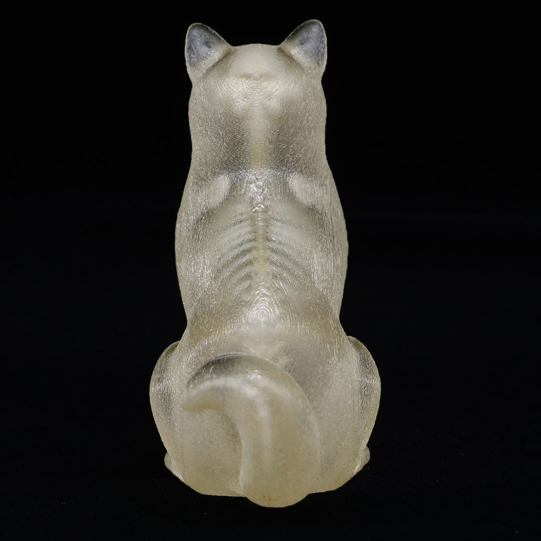 玉骨標本　シバイヌ　Sサイズ　半完成品(研磨なし)