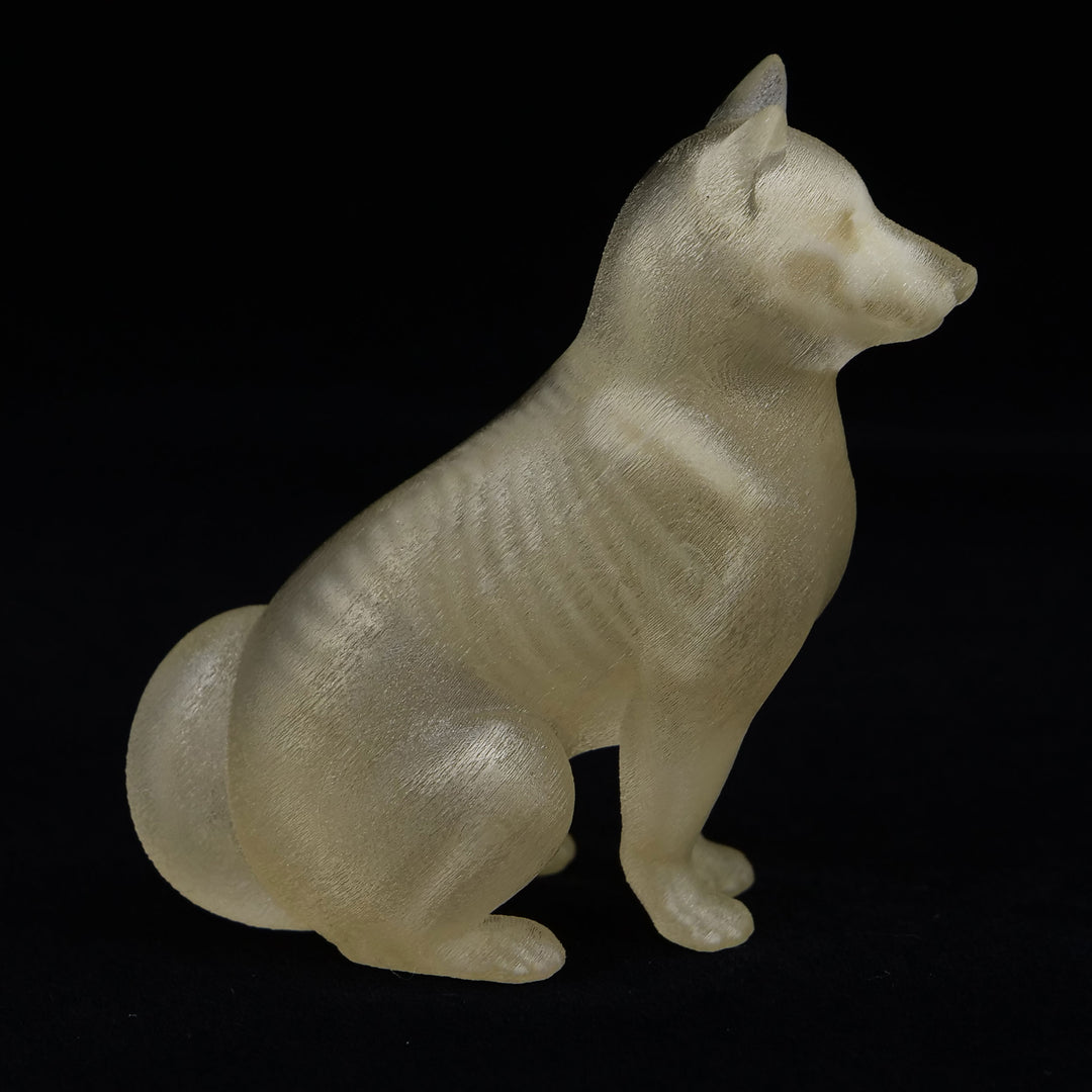 玉骨標本　シバイヌ　Sサイズ　半完成品(研磨なし)