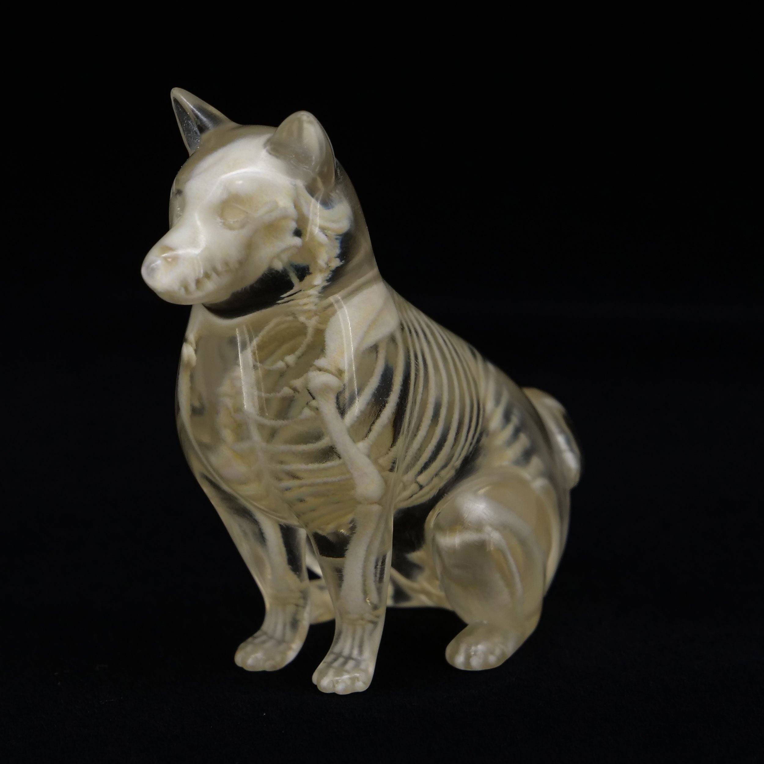 マッコウクジラ？ 鯨牙根付煎茶鉄瓶翡翠銀金香木古美術素材骨中国蒔絵標本 マッコウクジラ？ 鯨牙根付煎茶鉄瓶翡翠銀金香木古美術素材骨中国